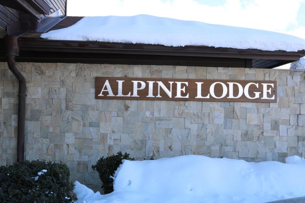 Private Apartments In Alpine Lodge Банско Экстерьер фото