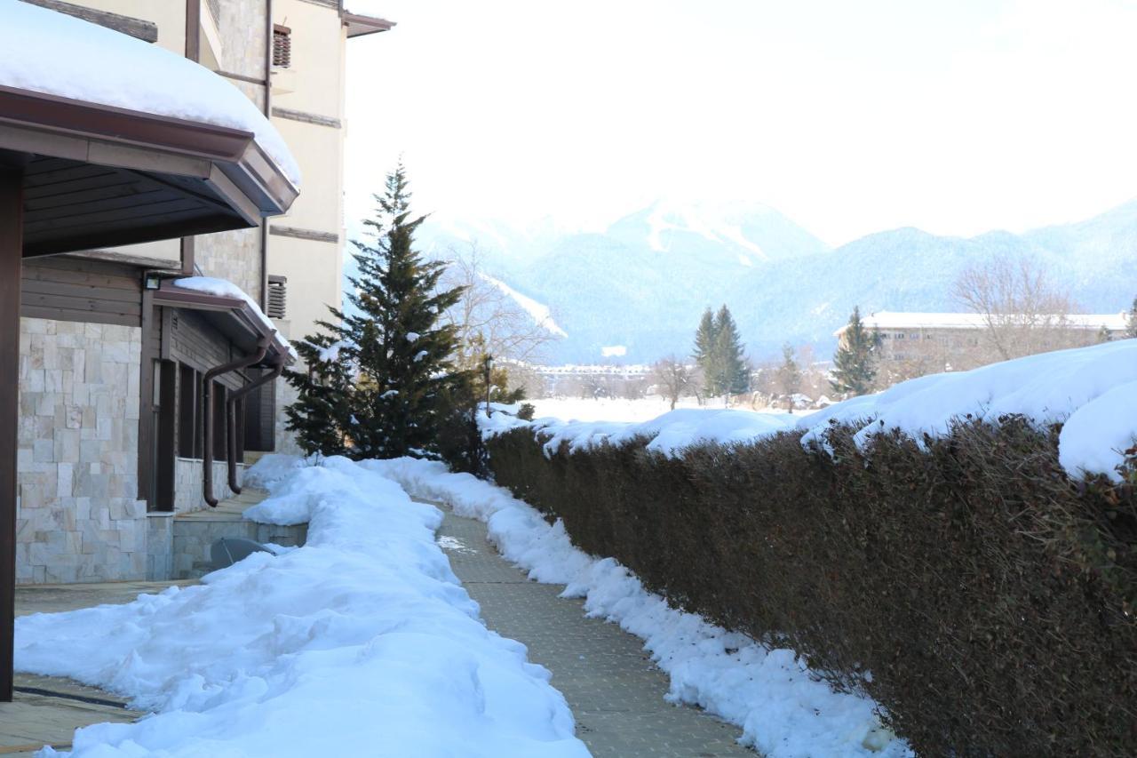 Private Apartments In Alpine Lodge Банско Экстерьер фото